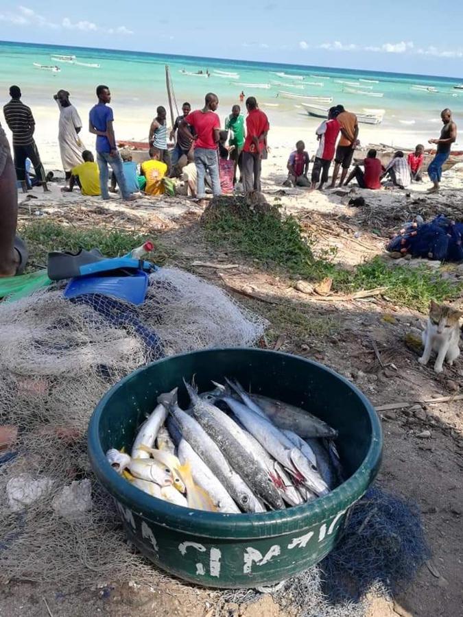 Shanka Zanzibar Nocleg ze śniadaniem *
