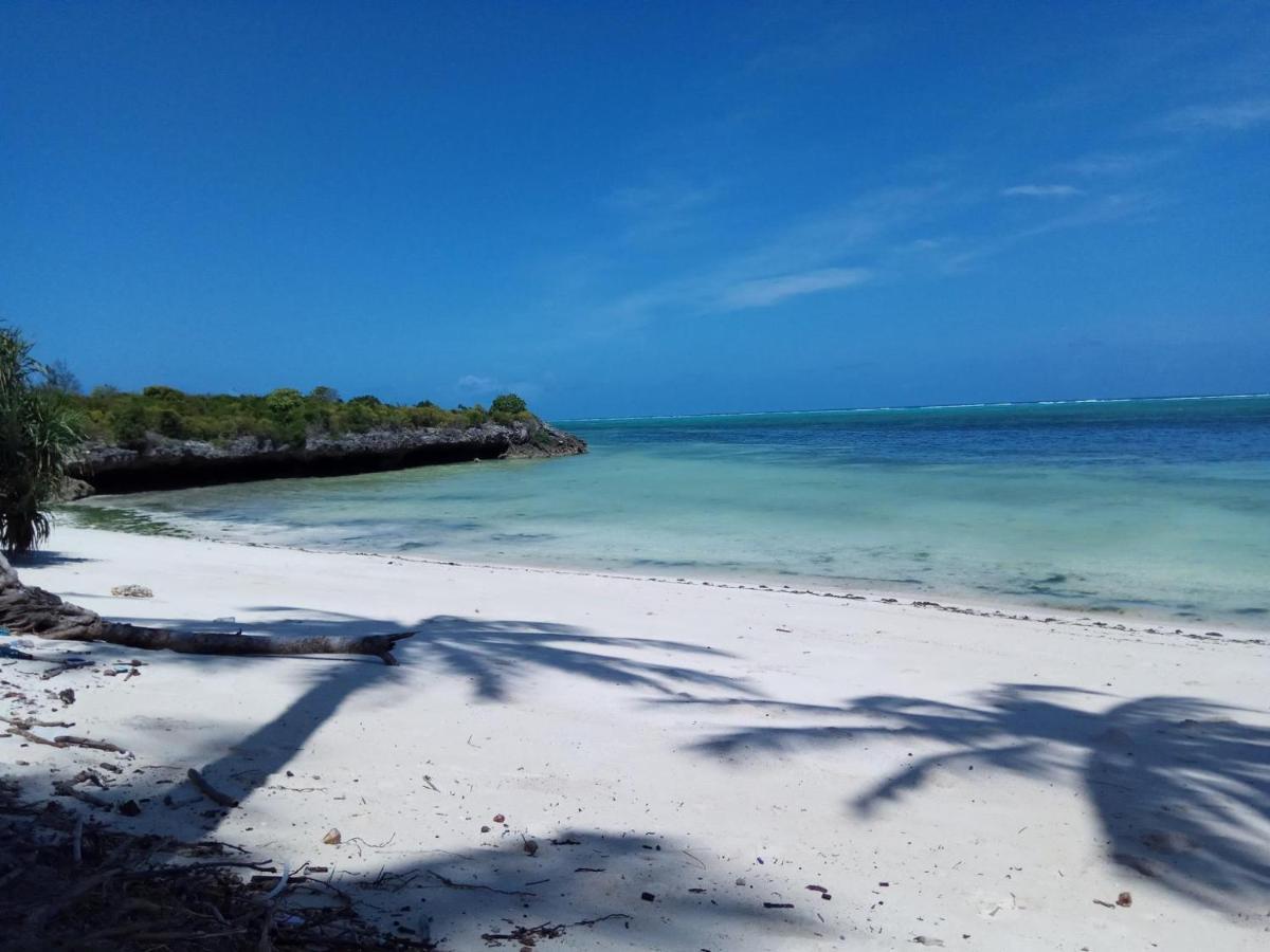 Nocleg ze śniadaniem Shanka Zanzibar